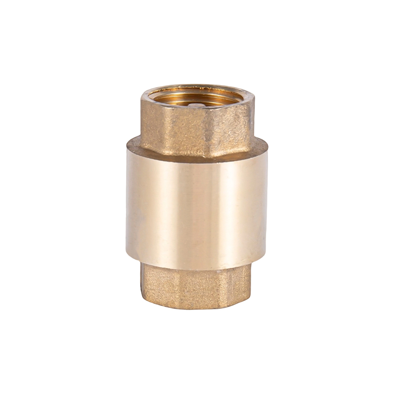 XY-5001 Brass Check Valves