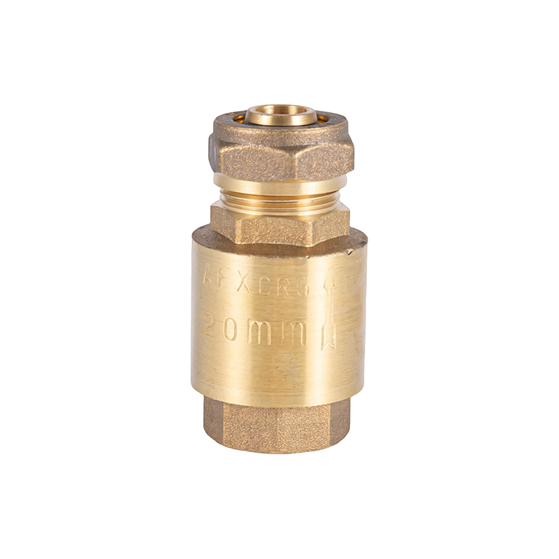 XY-5003 Brass Check Valves
