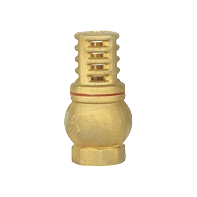 XY-5005 Brass Check Valves