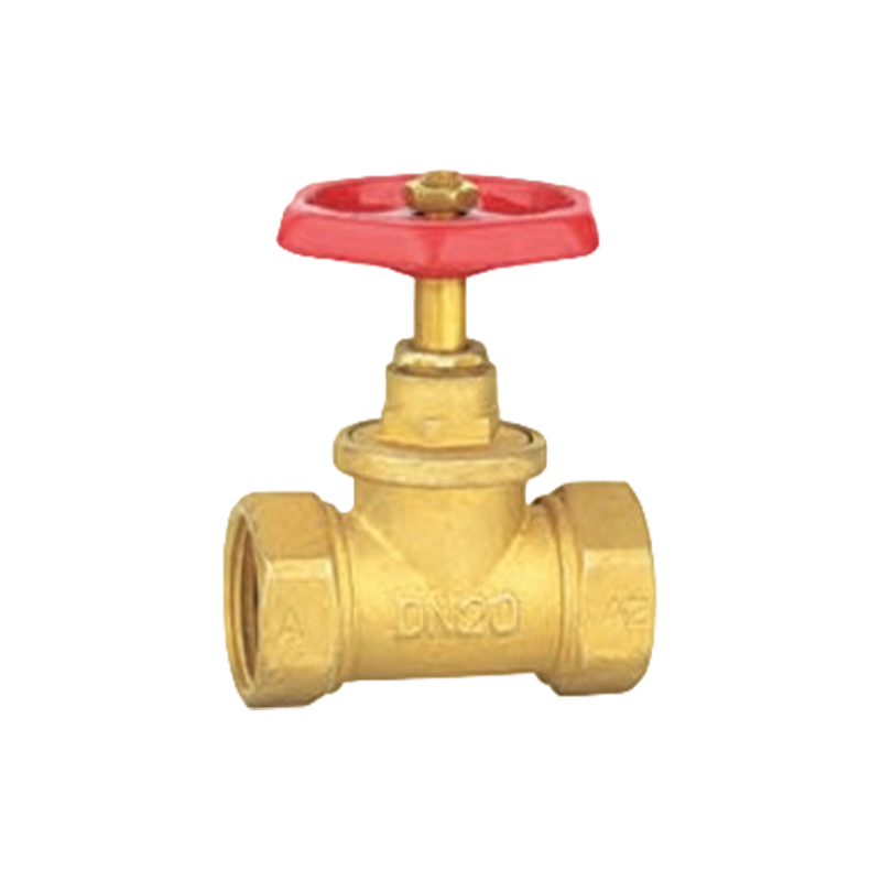 XY-5011 Brass Check Valves