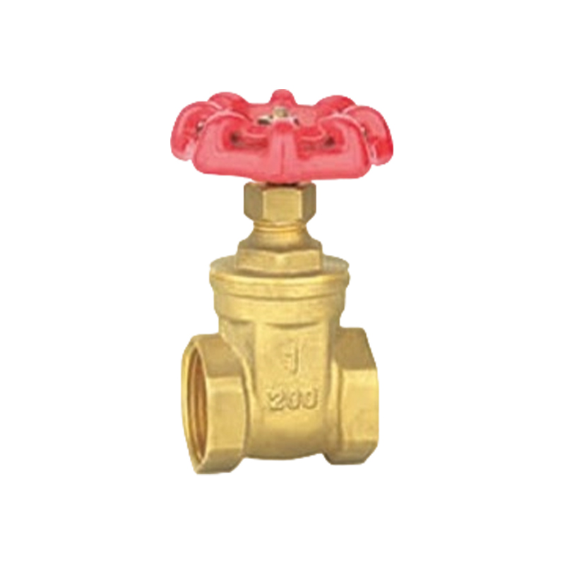XY-5012 Brass Check Valves